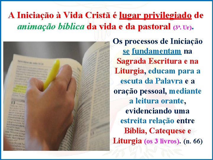 A Iniciação à Vida Cristã é lugar privilegiado de animação bíblica da vida e