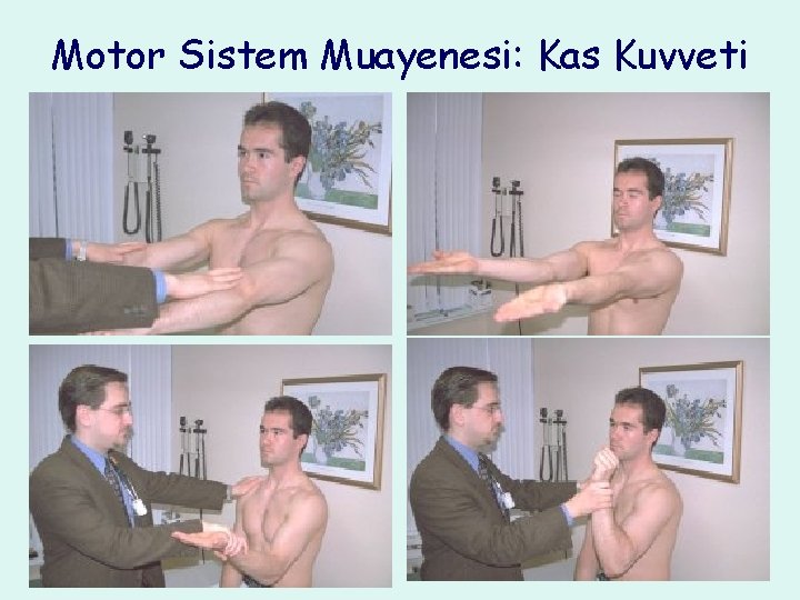 Motor Sistem Muayenesi: Kas Kuvveti 