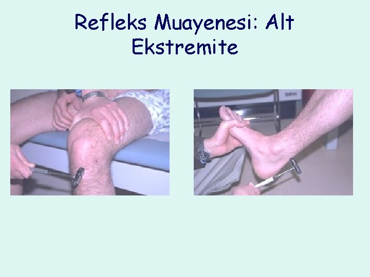Refleks Muayenesi: Alt Ekstremite 