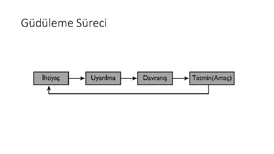 Güdüleme Süreci 