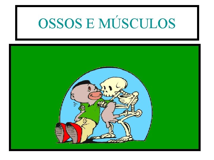 OSSOS E MÚSCULOS 