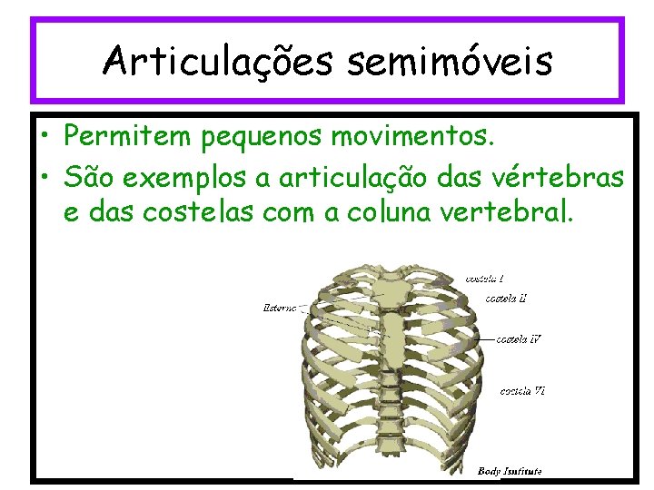 Articulações semimóveis • Permitem pequenos movimentos. • São exemplos a articulação das vértebras e