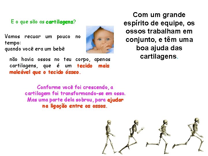 E o que são as cartilagens? cartilagens Vamos recuar um pouco no tempo: quando