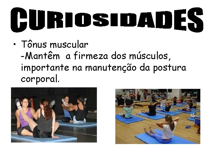  • Tônus muscular -Mantêm a firmeza dos músculos, importante na manutenção da postura