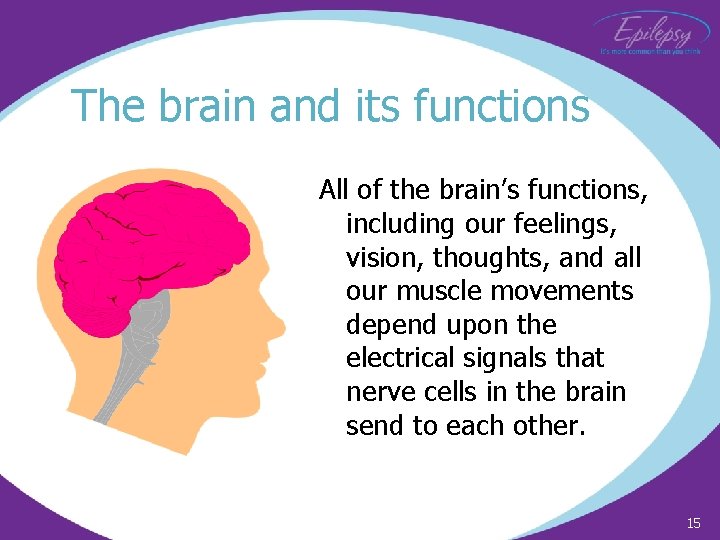 The brain and its functions All of the brain’s functions, including our feelings, vision,