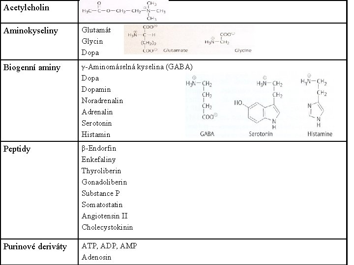 Acetylcholin Aminokyseliny Glutamát Glycin Dopa Biogenní aminy γ-Aminomáselná kyselina (GABA) Dopamin Noradrenalin Adrenalin Serotonin