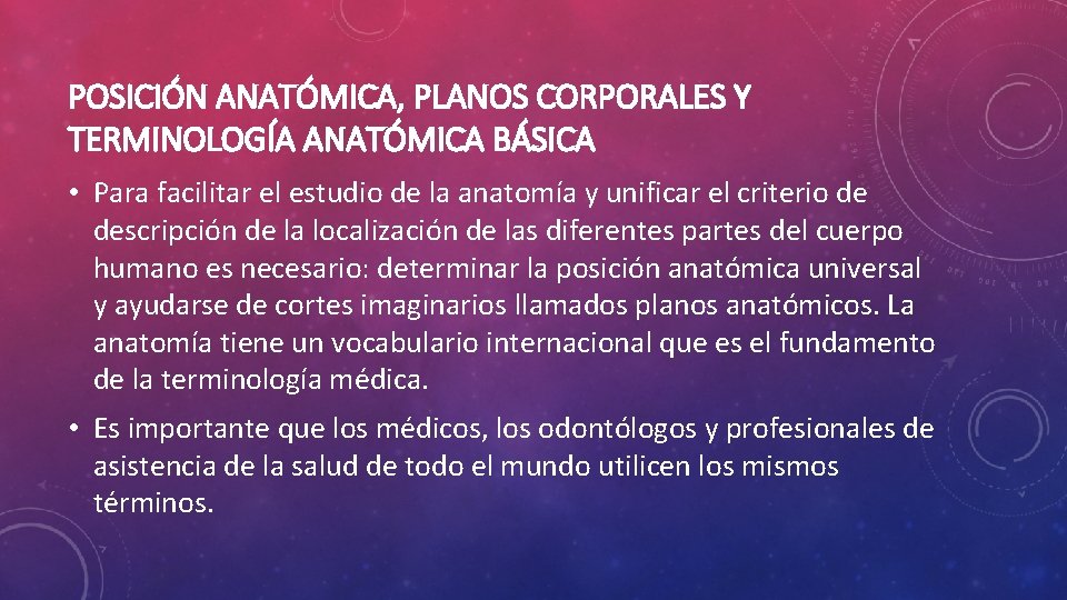 POSICIÓN ANATÓMICA, PLANOS CORPORALES Y TERMINOLOGÍA ANATÓMICA BÁSICA • Para facilitar el estudio de