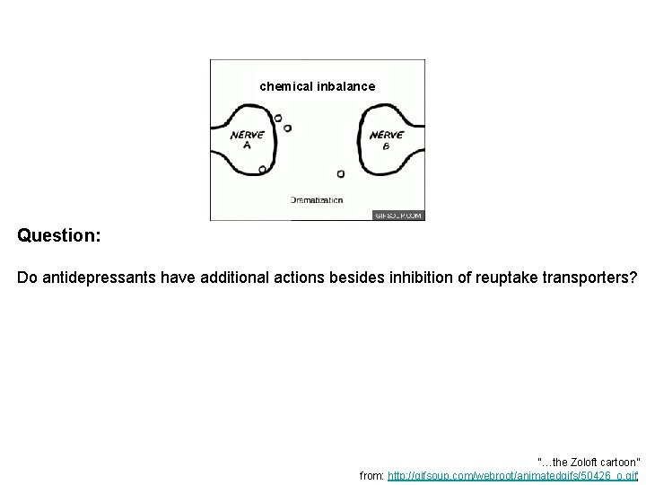 chemical inbalance Question: Do antidepressants have additional actions besides inhibition of reuptake transporters? “…the chemical inbalance Question: Do antidepressants have additional actions besides inhibition of reuptake transporters? “…the