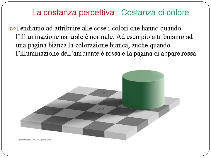 La costanza percettiva: Costanza di colore Tendiamo ad attribuire alle cose i colori che