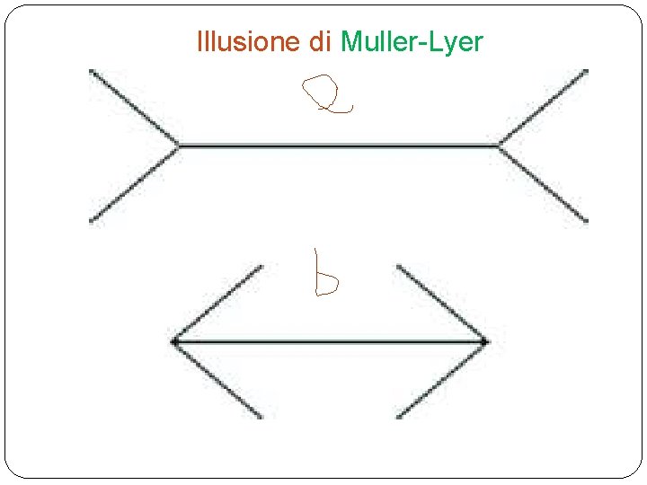 Illusione di Muller-Lyer 