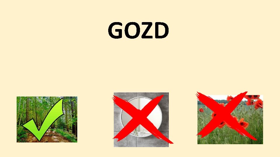 GOZD 