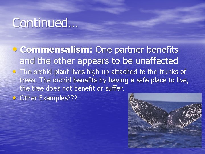 Continued… • Commensalism: One partner benefits and the other appears to be unaffected • Continued… • Commensalism: One partner benefits and the other appears to be unaffected •