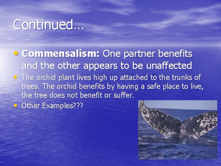 Continued… • Commensalism: One partner benefits and the other appears to be unaffected •