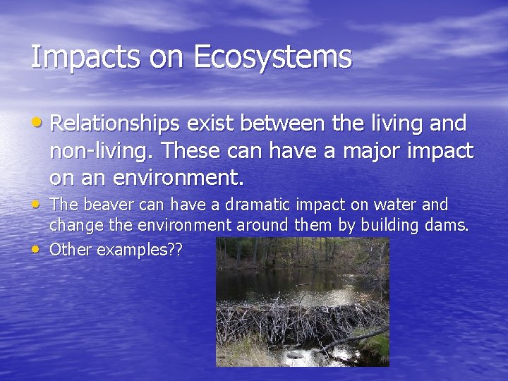 Impacts on Ecosystems • Relationships exist between the living and non-living. These can have