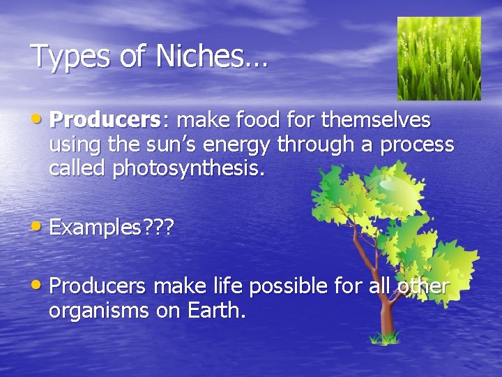 Types of Niches… • Producers: make food for themselves using the sun’s energy through