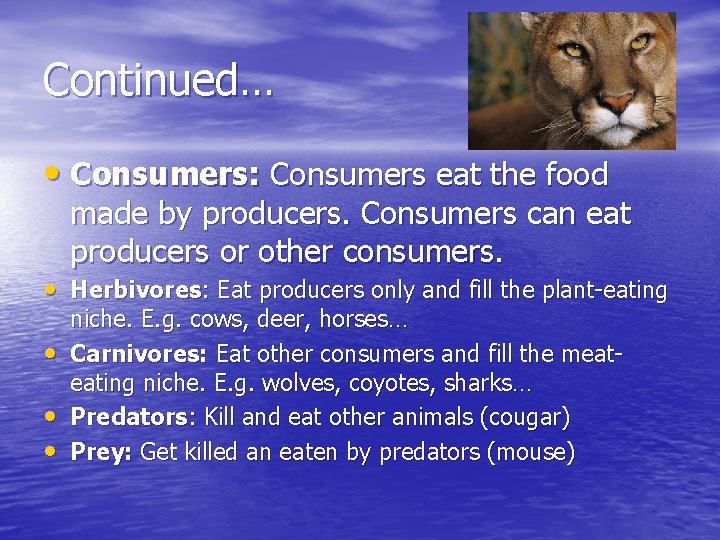 Continued… • Consumers: Consumers eat the food made by producers. Consumers can eat producers