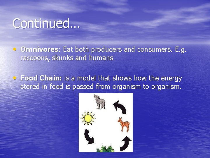 Continued… • Omnivores: Eat both producers and consumers. E. g. raccoons, skunks and humans
