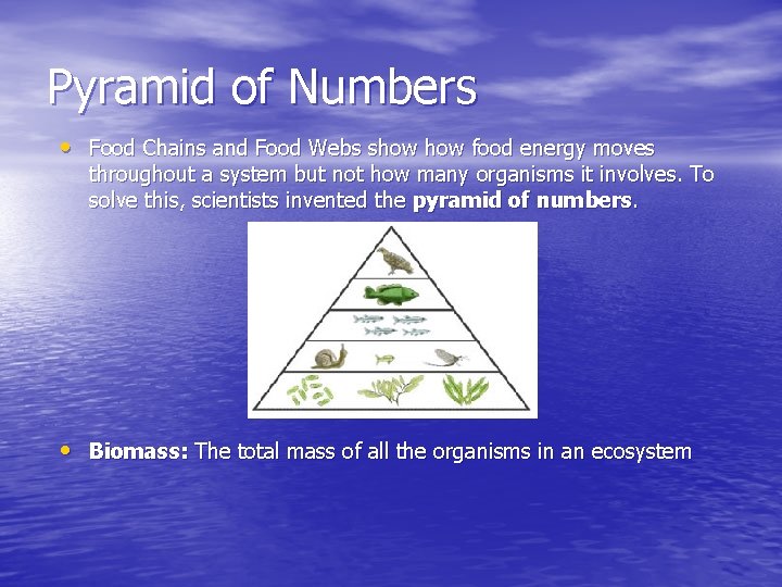 Pyramid of Numbers • Food Chains and Food Webs show food energy moves throughout Pyramid of Numbers • Food Chains and Food Webs show food energy moves throughout
