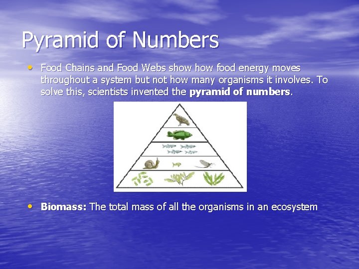 Pyramid of Numbers • Food Chains and Food Webs show food energy moves throughout