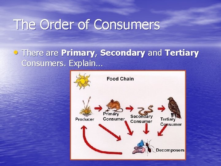 The Order of Consumers • There are Primary, Secondary and Tertiary Consumers. Explain… 