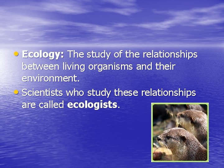  • Ecology: The study of the relationships between living organisms and their environment.