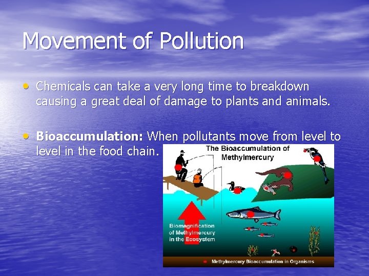 Movement of Pollution • Chemicals can take a very long time to breakdown causing Movement of Pollution • Chemicals can take a very long time to breakdown causing