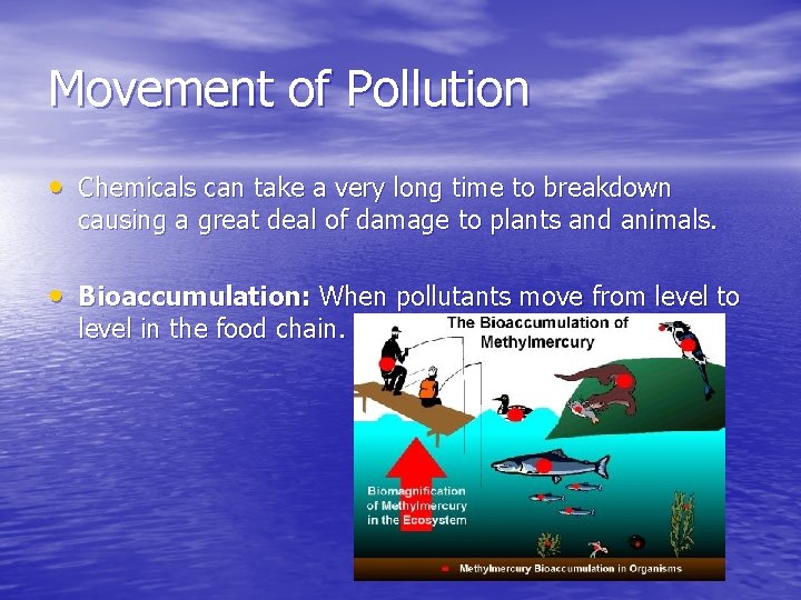 Movement of Pollution • Chemicals can take a very long time to breakdown causing