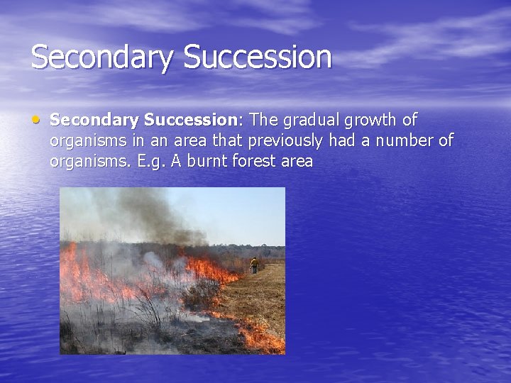 Secondary Succession • Secondary Succession: The gradual growth of organisms in an area that