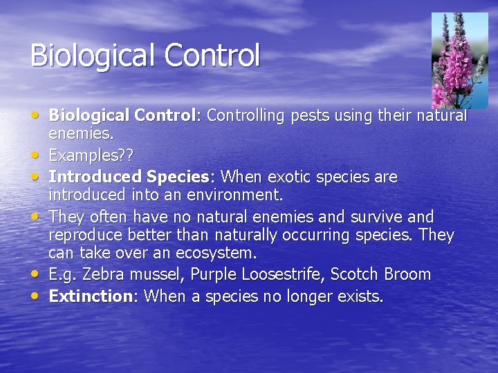 Biological Control • Biological Control: Controlling pests using their natural • • • enemies.