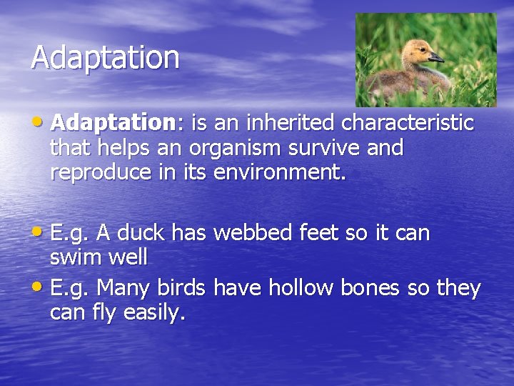 Adaptation • Adaptation: is an inherited characteristic that helps an organism survive and reproduce Adaptation • Adaptation: is an inherited characteristic that helps an organism survive and reproduce