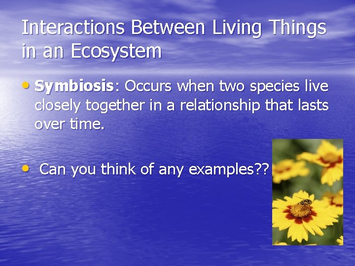 Interactions Between Living Things in an Ecosystem • Symbiosis: Occurs when two species live