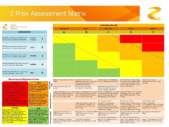 Z Risk Assessment Matrix 