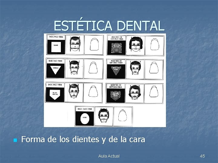 ESTÉTICA DENTAL n Forma de los dientes y de la cara Aula Actual 45