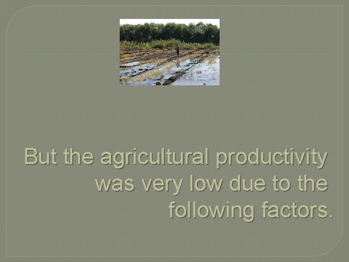 But the agricultural productivity was very low due to the following factors. 