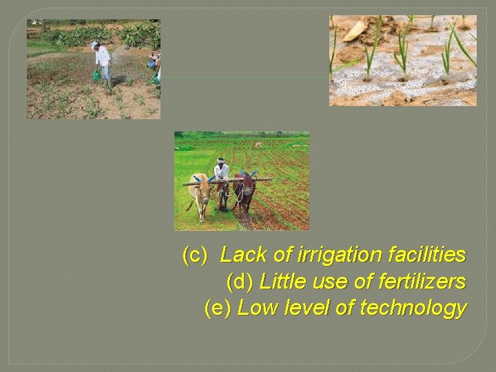 (c) Lack of irrigation facilities (d) Little use of fertilizers (e) Low level of