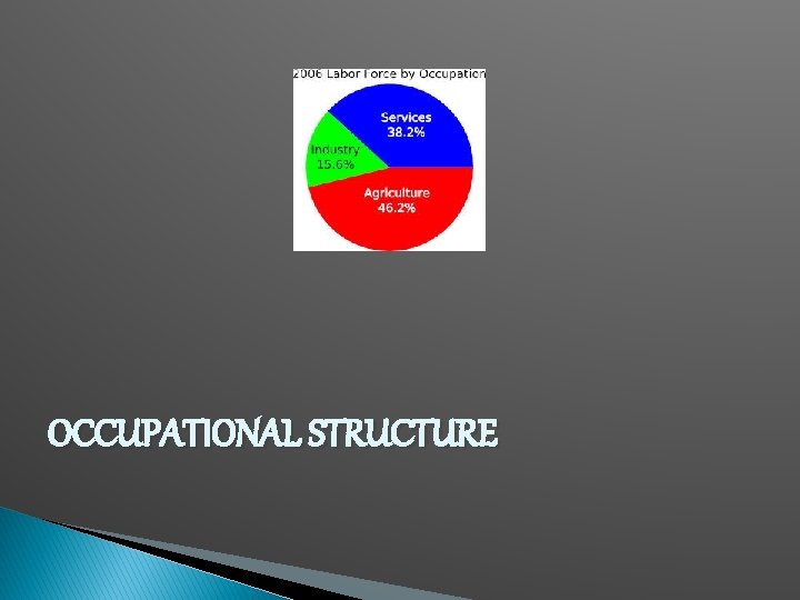 OCCUPATIONAL STRUCTURE 