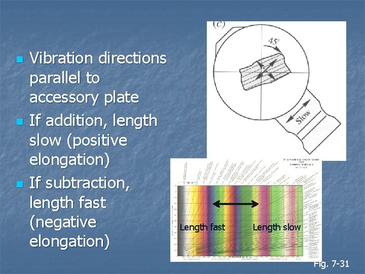 n n n Vibration directions parallel to accessory plate If addition, length slow (positive