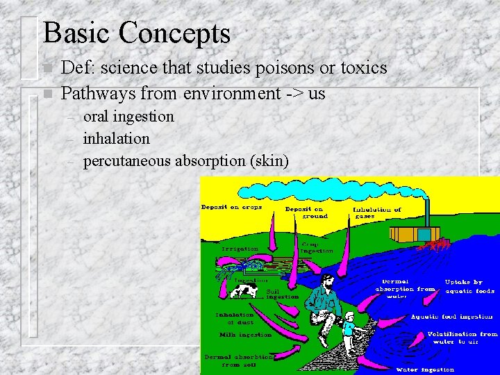 Basic Concepts n n Def: science that studies poisons or toxics Pathways from environment