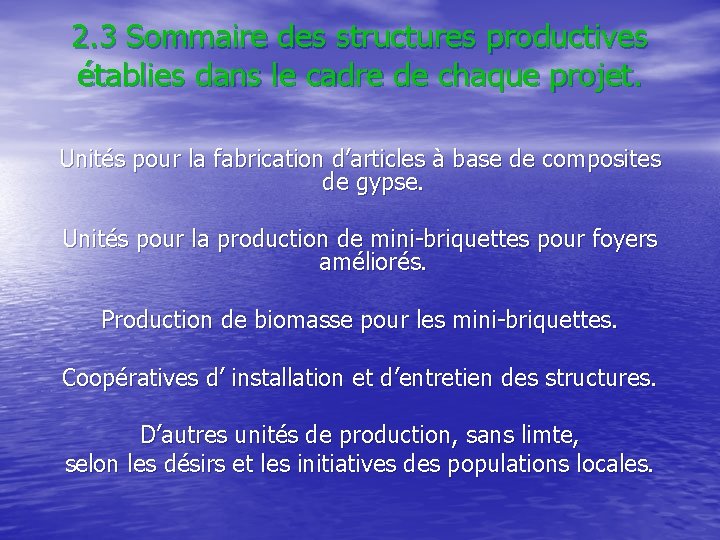 2. 3 Sommaire des structures productives établies dans le cadre de chaque projet. Unités