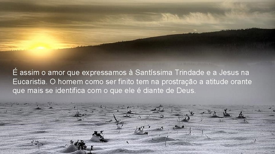 É assim o amor que expressamos à Santíssima Trindade e a Jesus na Eucaristia.