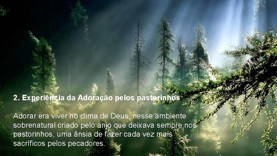 2. Experiência da Adoração pelos pastorinhos Adorar era viver no clima de Deus, nesse