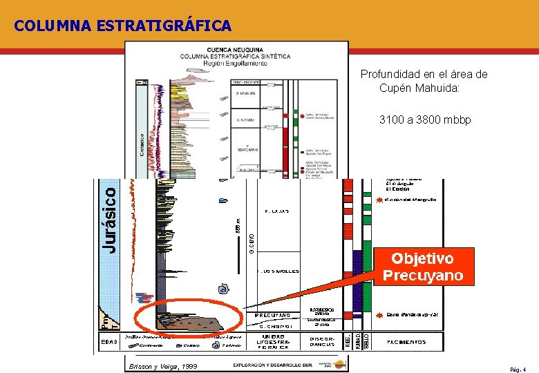 COLUMNA ESTRATIGRÁFICA Profundidad en el área de Cupén Mahuida: 3100 a 3800 mbbp Brisson