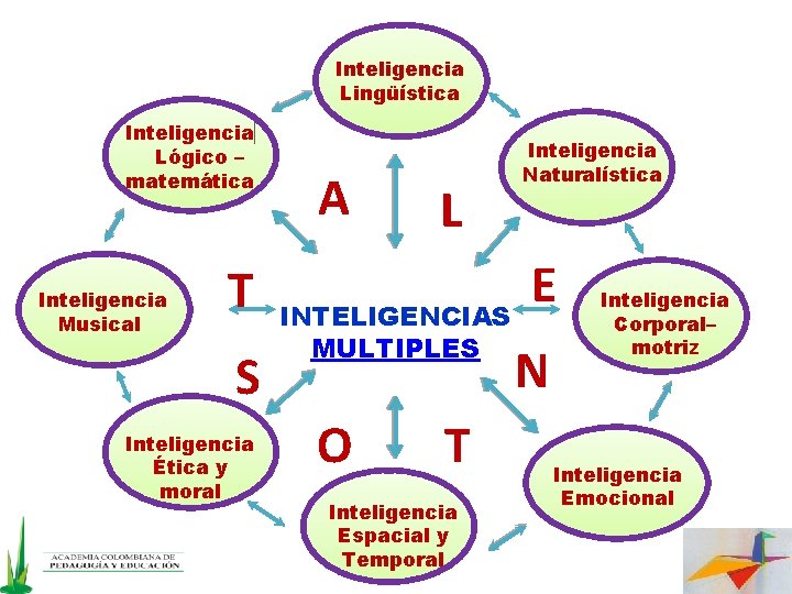 Inteligencia Lingüística Inteligencia Lógico – matemática Inteligencia Musical T S Inteligencia Ética y moral Inteligencia Lingüística Inteligencia Lógico – matemática Inteligencia Musical T S Inteligencia Ética y moral