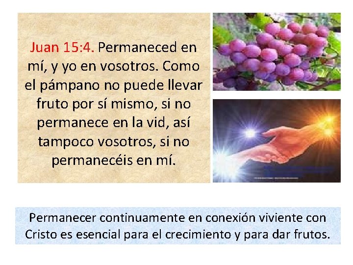 Juan 15: 4. Permaneced en mí, y yo en vosotros. Como el pámpano no