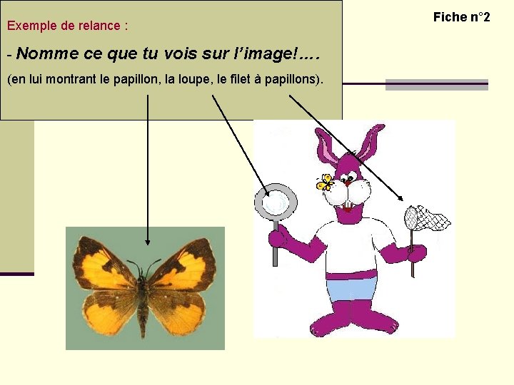 Découvrir le monde vivant – Les insectes Exemple de relance : Question 1 :