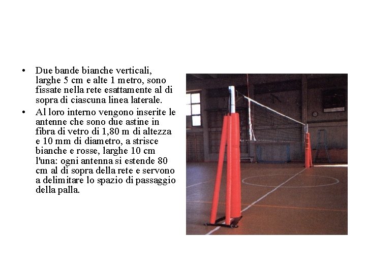• Due bande bianche verticali, larghe 5 cm e alte 1 metro, sono • Due bande bianche verticali, larghe 5 cm e alte 1 metro, sono