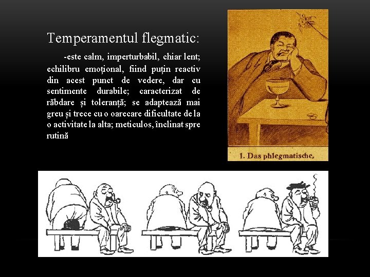 Temperamentul flegmatic: -este calm, imperturbabil, chiar lent; echilibru emoțional, fiind puțin reactiv din acest