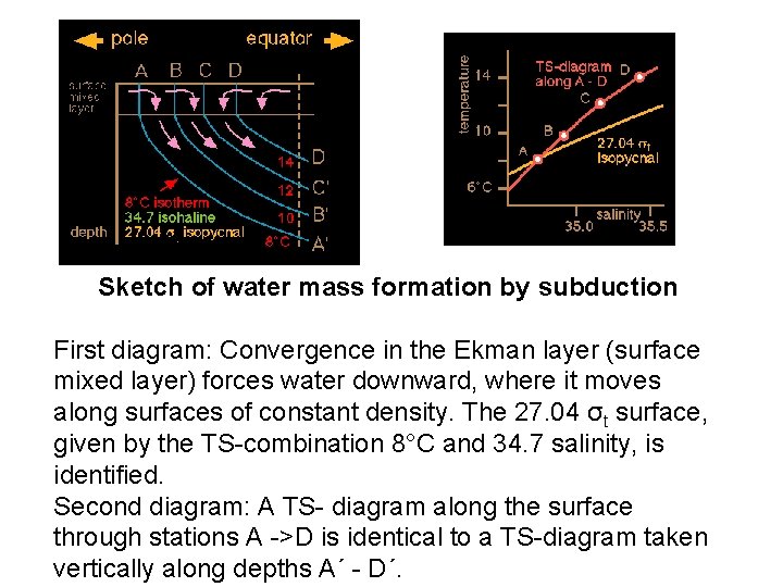 Sketch of water mass formation by subduction First diagram: Convergence in the Ekman layer