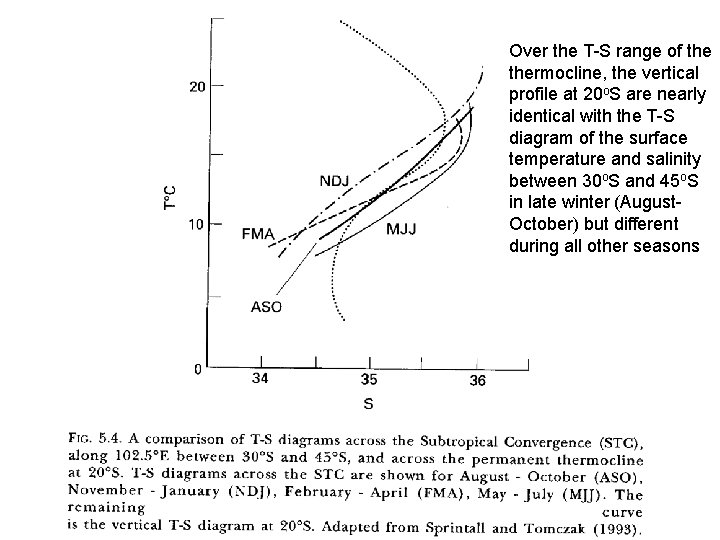 Over the T-S range of thermocline, the vertical profile at 20 o. S are