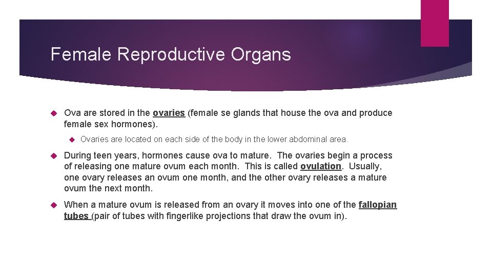 Female Reproductive Organs Ova are stored in the ovaries (female se glands that house